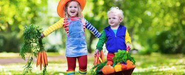 Ekološko pridelana hrana